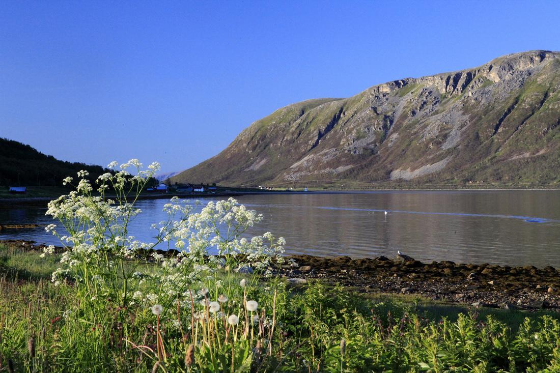 Hansnes Havfiske Eksteriør bilde