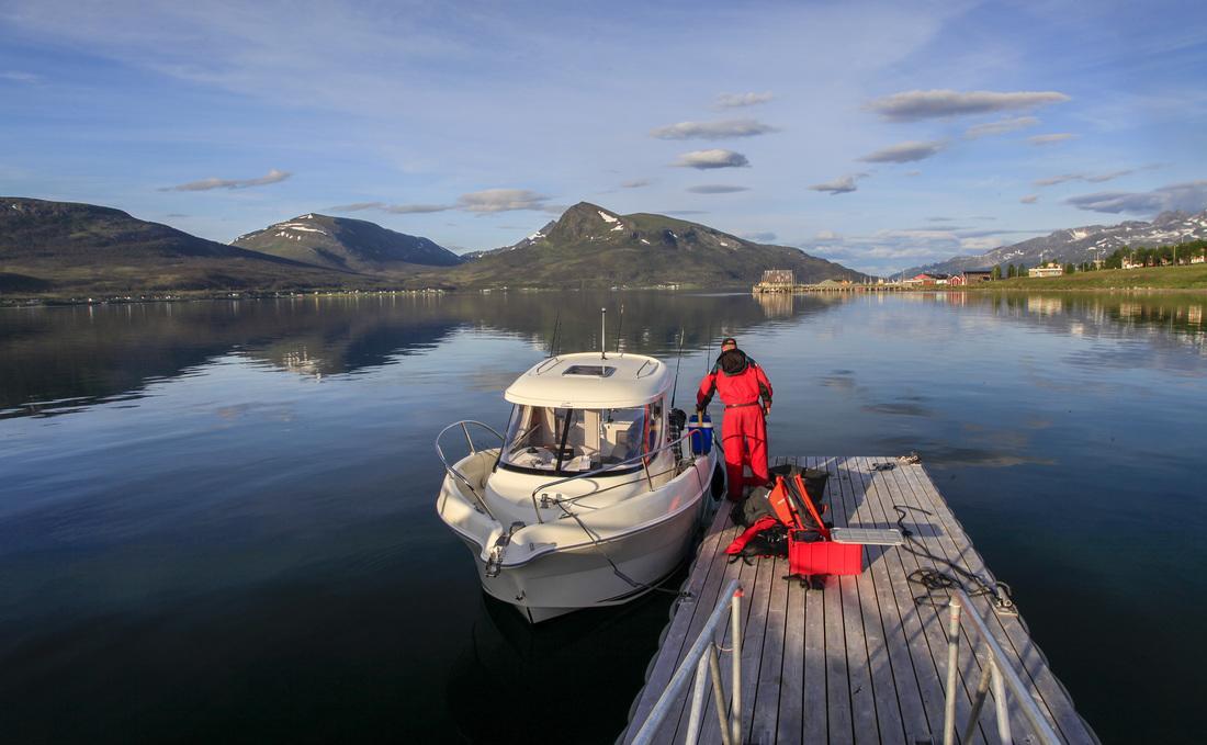 Hansnes Havfiske Eksteriør bilde